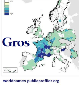 Gros surname distribution