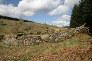 The_remains_of_Riccarton_Tower_-_geograph.org.uk_-_1253516
