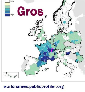 Gros surname distribution line