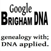 Brigham DNA